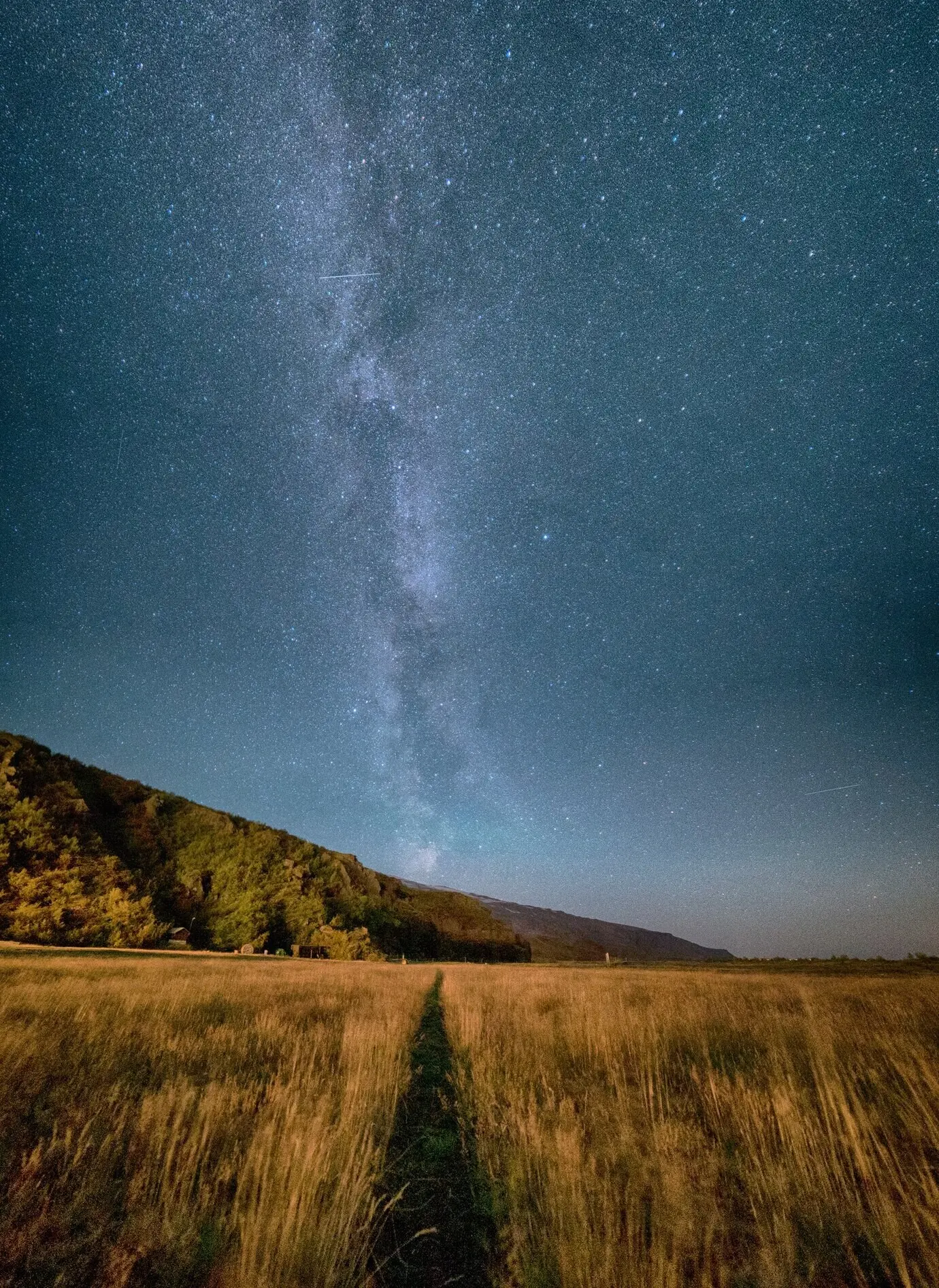 Rasenfeld unter grauem Himmel bei Nacht.