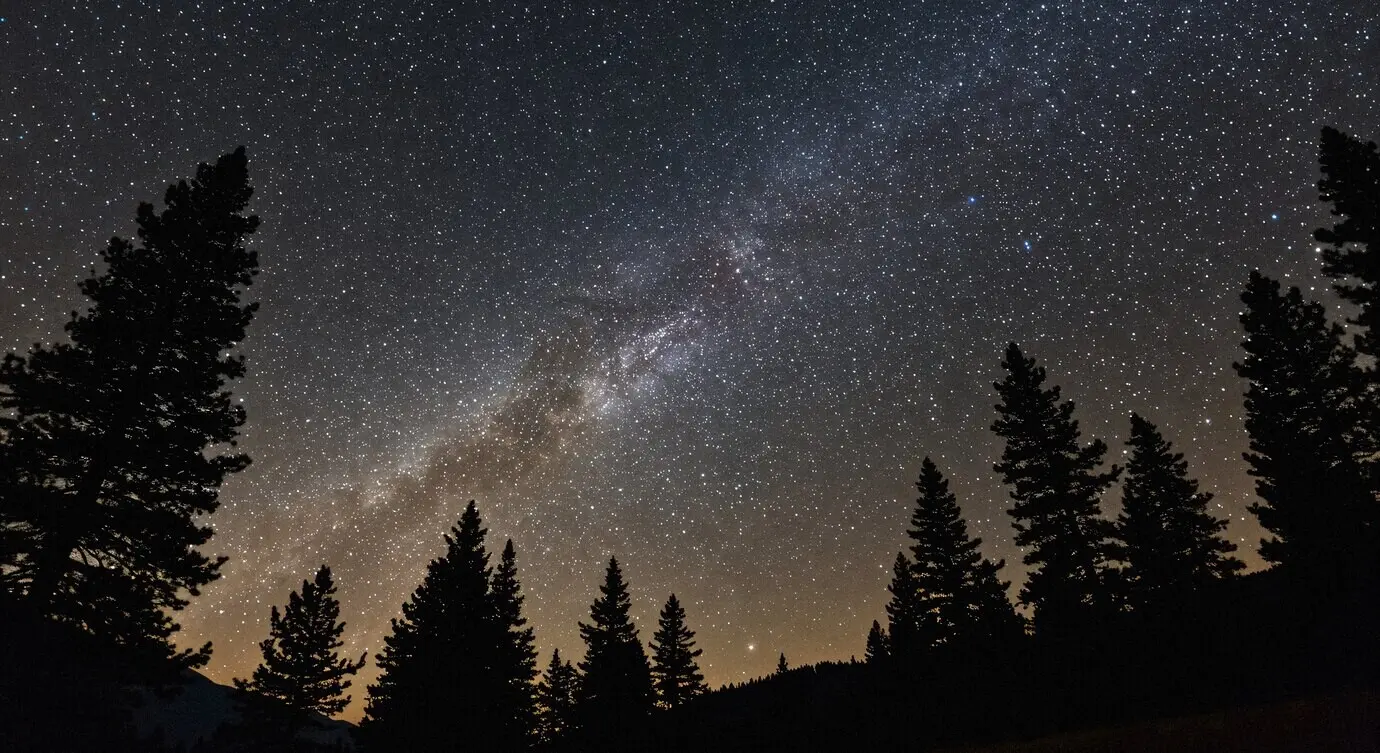 Nachthimmel mit Sternen und Bäumen